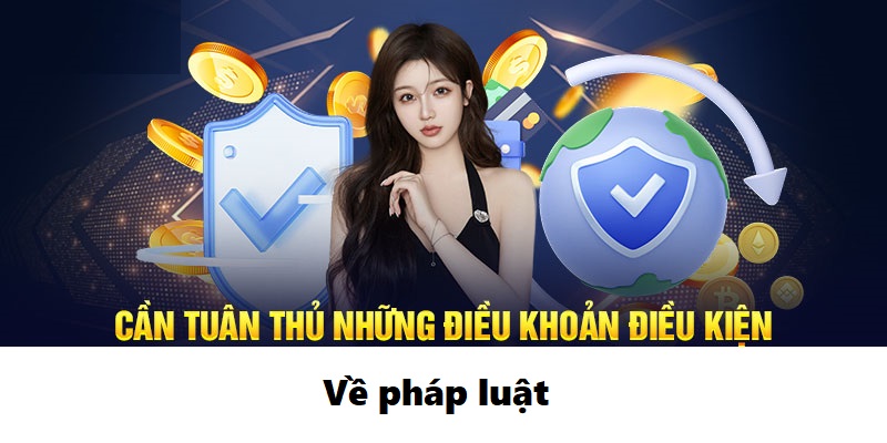 2 Dieu khoan va dieu kien ve phap luat cua san choi i9BET Điều khoản và điều kiện về pháp luật của sân chơi i9BET