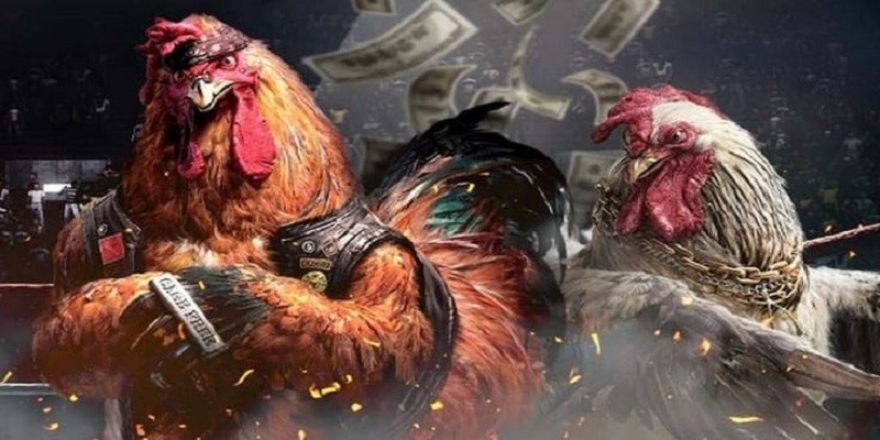 3 Cap nhat nhieu keo cuoc tuyet voi Cập nhật nhiều kèo cược tuyệt vời